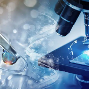 އHt(y)҃xO估t(y)еչ[